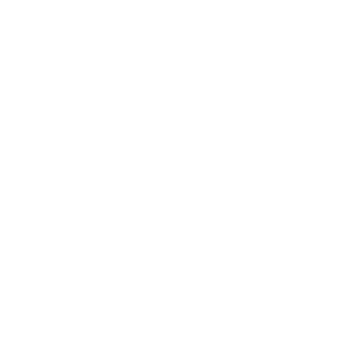 Technical Skills
