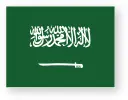 Saudi Arabia Flag